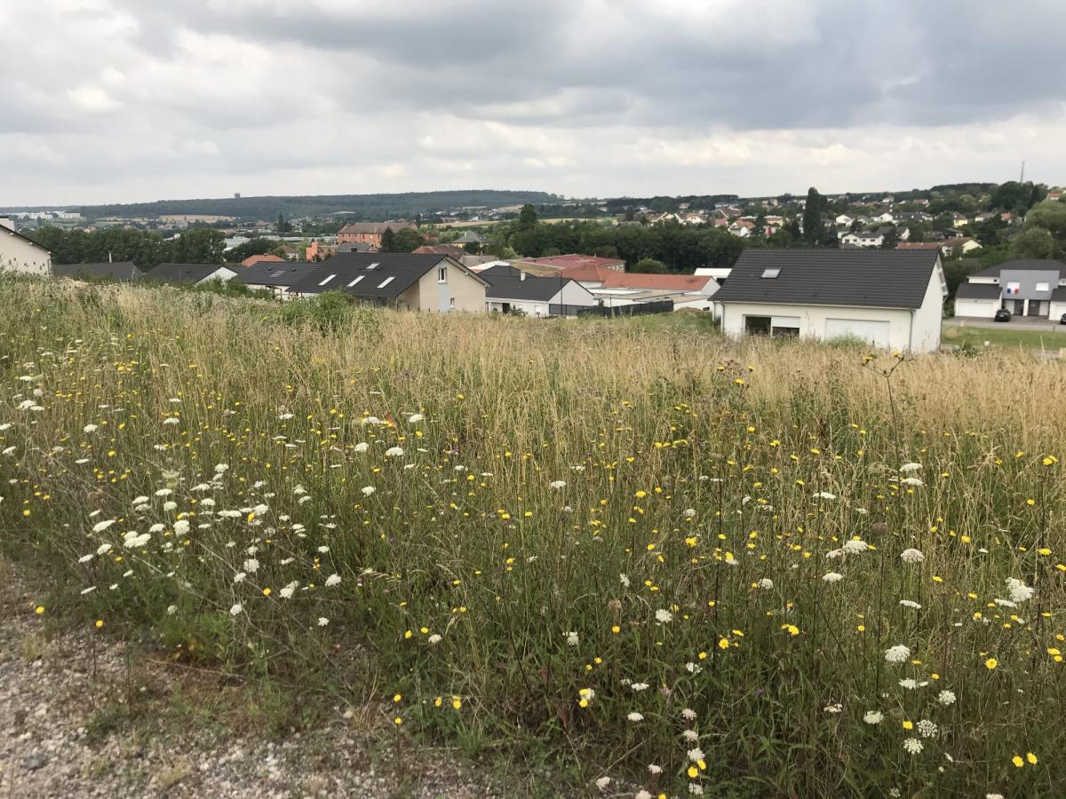 Annonces vente maison et appartement en Moselle - Saint-Avold - Sarreguemines - Forbach